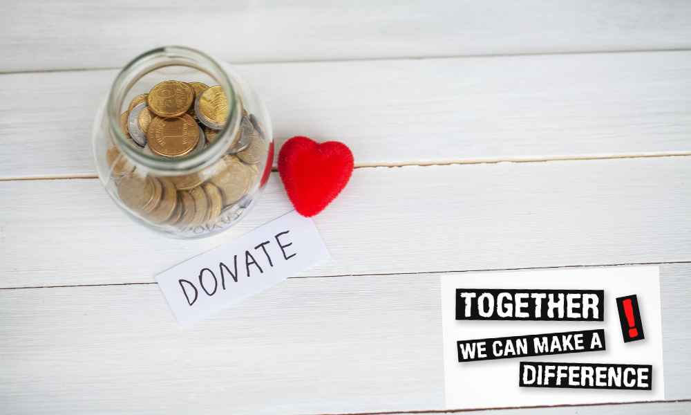 together we can. full jar of coins. light colored, white wood background. red heart with white outline of a stretching red panda. the red panda network spelled out in red and orange 