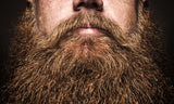 Steps To Maintain A Healthy, Well Groomed Beard For Beginners
