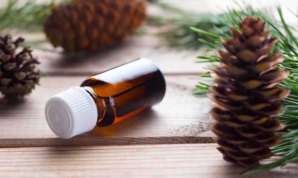 The Healing Properties Of C & B Pine Tar