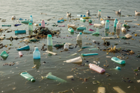 The Real Environmental Impact of Your Bathroom Products