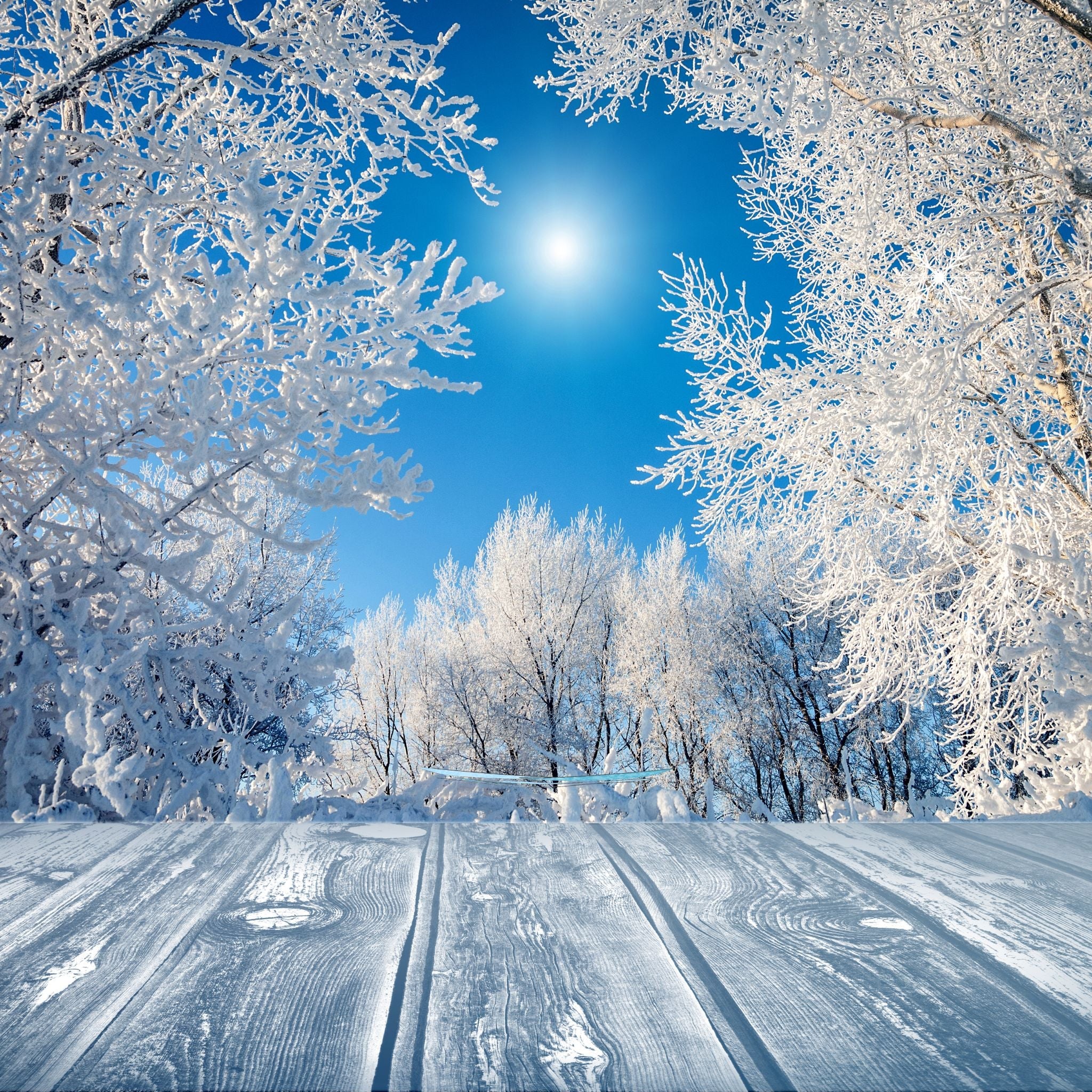 a crisp Winter day, with frost in the trees and the sun shining on a snow covered road with vehicle tracks