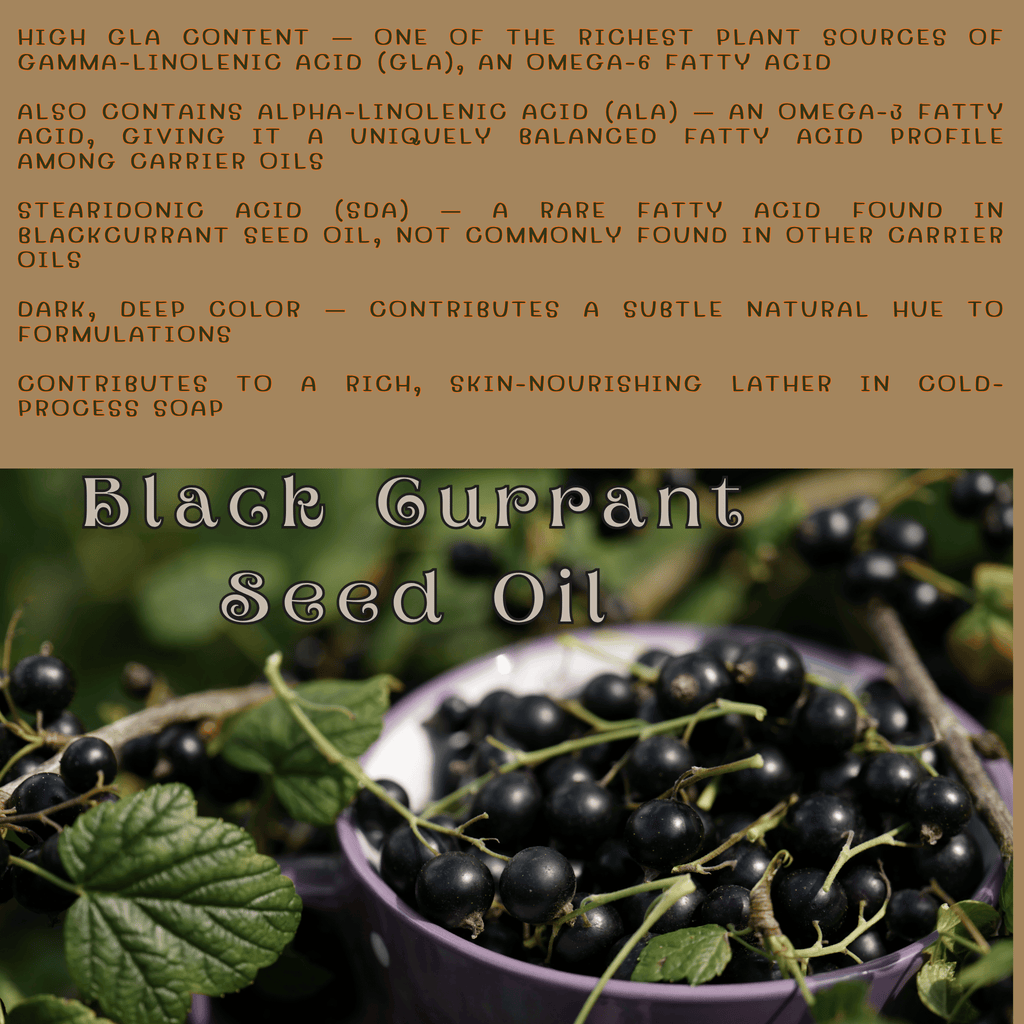 Vanilla Bean Black Currant Natural Vegan Bar Soap