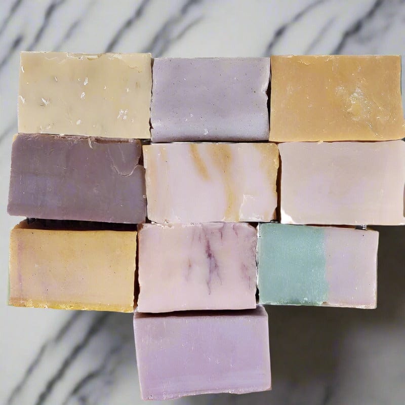 TheSmellyPandaSoapCompany,LLC 10 Sample Travel Size Gift Bundle Natural Bar Soap
