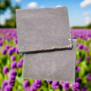 TheSmellyPandaSoapCompany,LLC Vanilla Bean Blackcurrant Natural Vegan Bar Soap